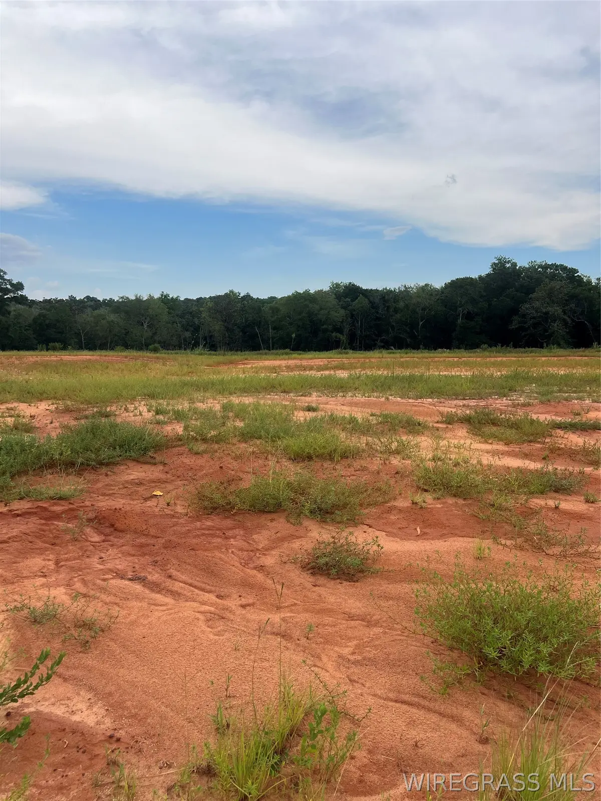 Lot 16 Mullholland Drive, Enterprise, AL 36330 - #1