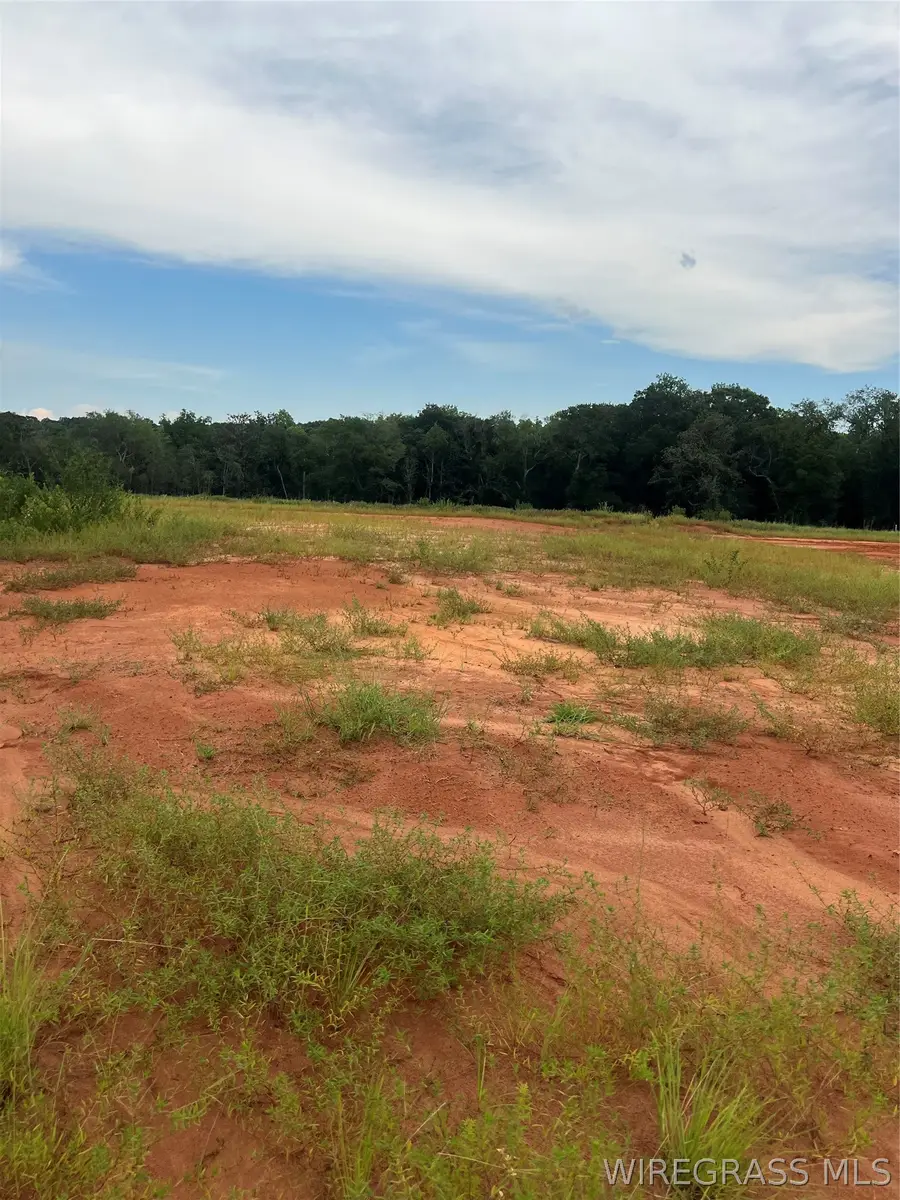 Lot 16 Mullholland Drive, Enterprise, AL 36330 - #2
