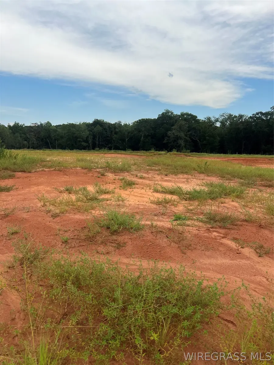 Lot 16 Mullholland Drive, Enterprise, AL 36330 - #3