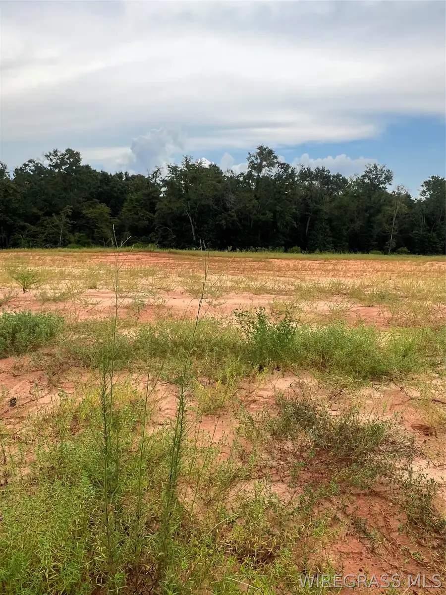 Lot 15 Mullholland Drive, Enterprise, AL 36330 - #2