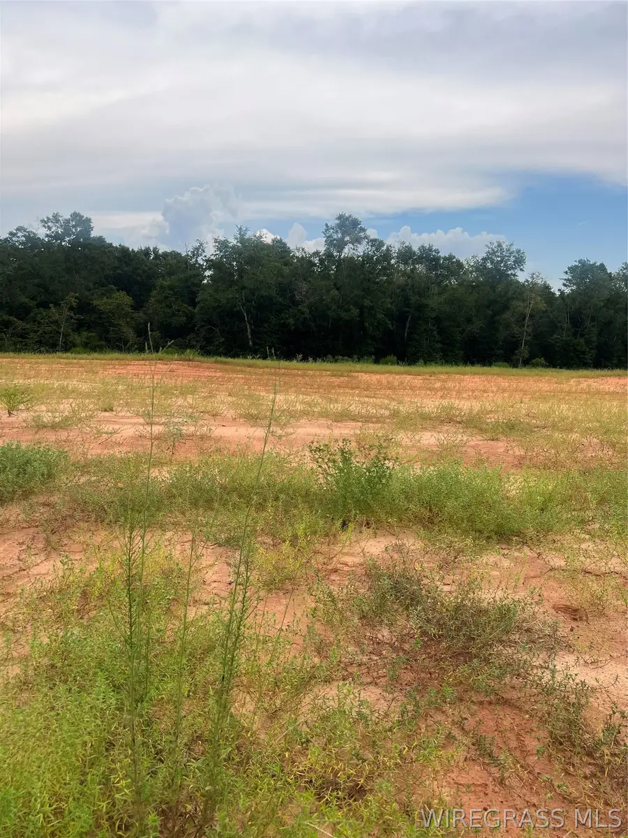 Lot 15 Mullholland Drive, Enterprise, AL 36330 - #3