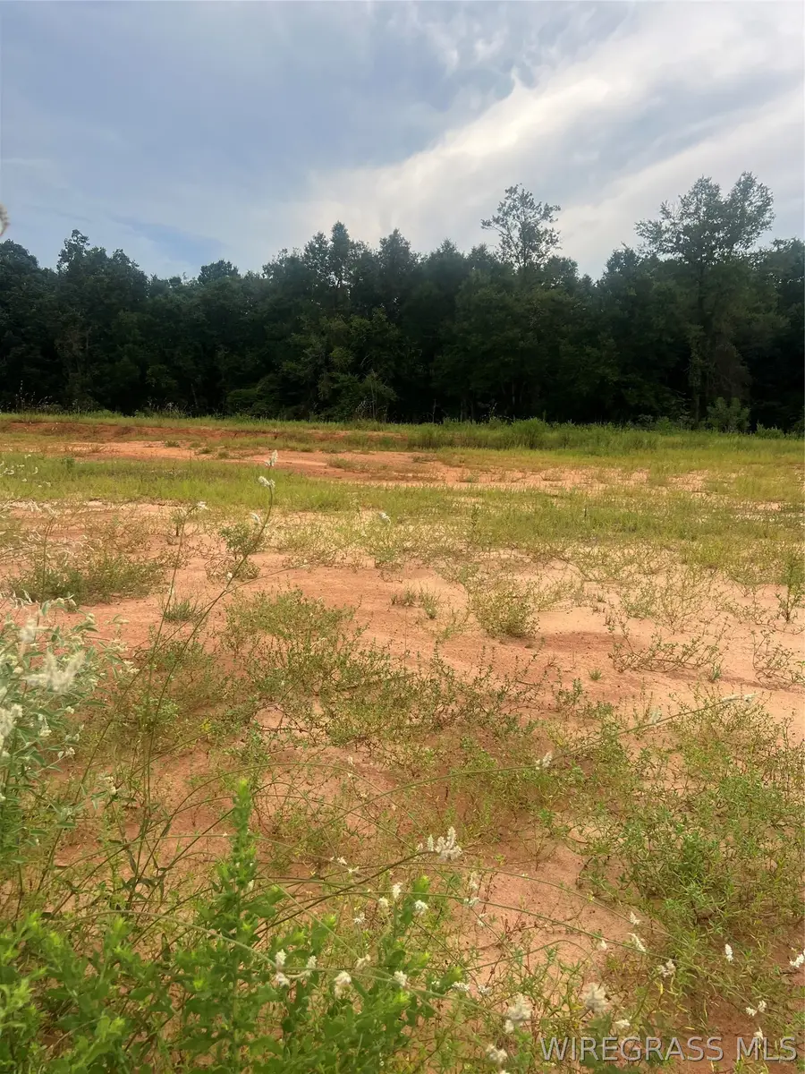Lot 14 Mullholland Drive, Enterprise, AL 36330 - #2