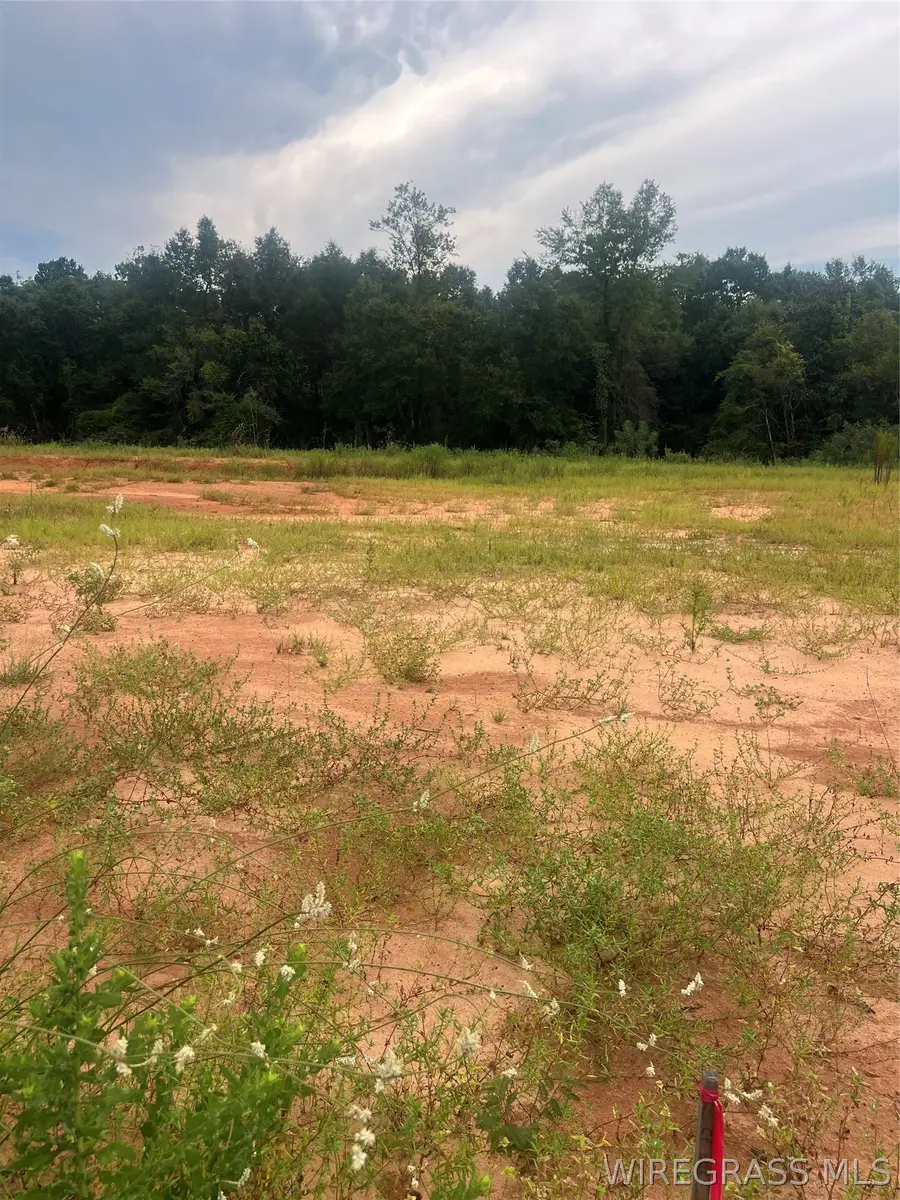Lot 14 Mullholland Drive, Enterprise, AL 36330 - #3