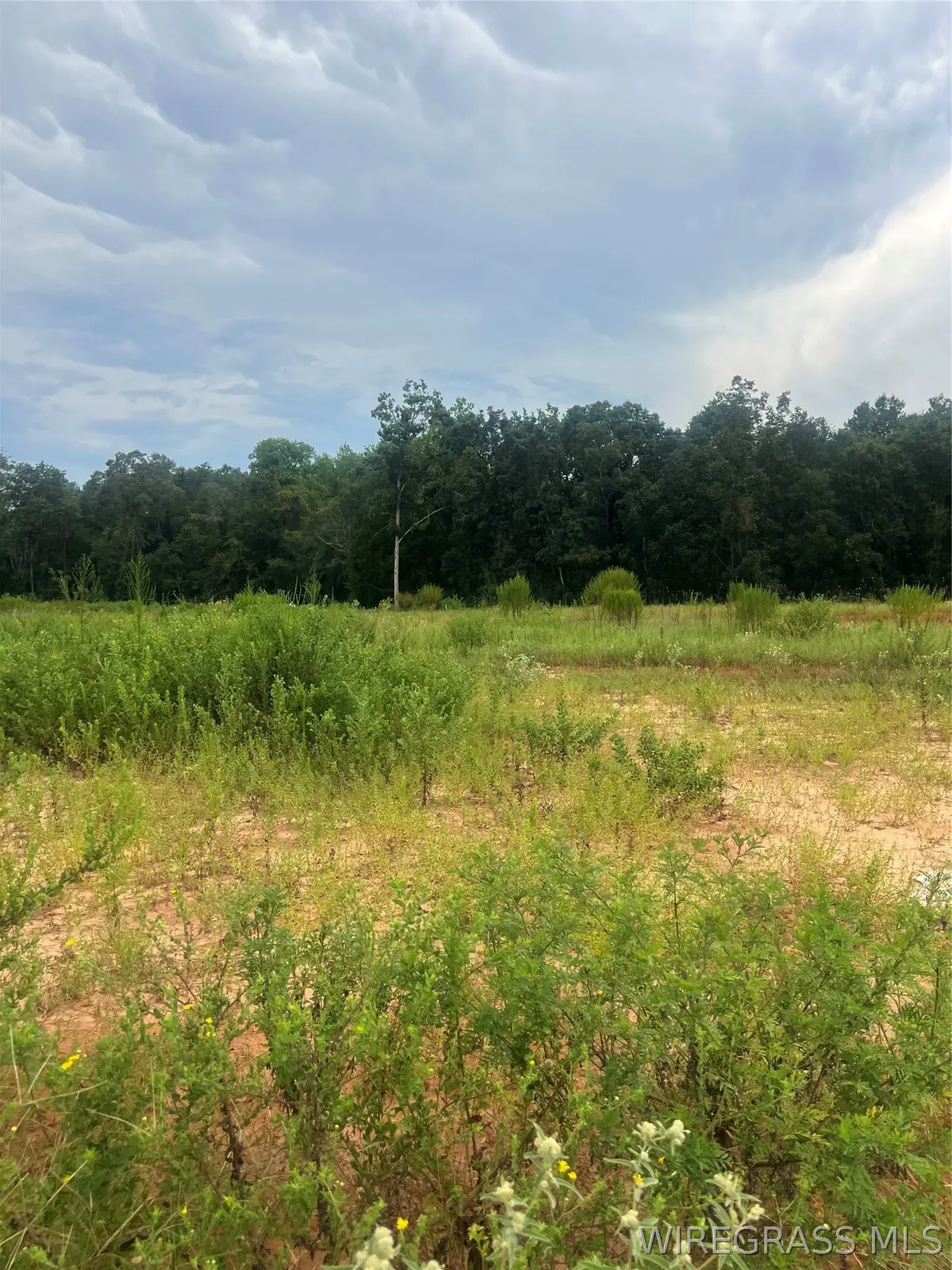 Lot 13 Mullholland Drive, Enterprise, AL 36330 - #1