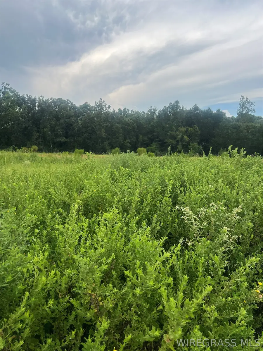 Lot 13 Mullholland Drive, Enterprise, AL 36330 - #2