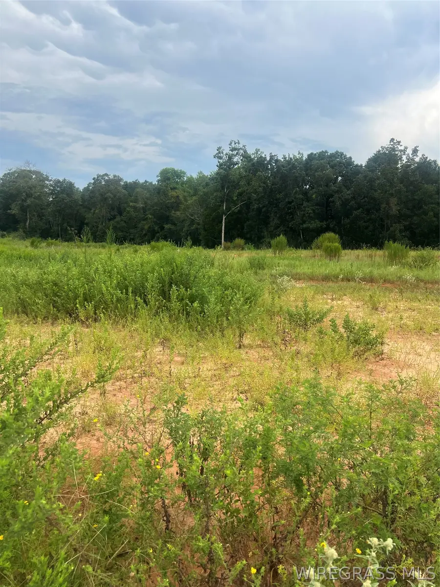 Lot 13 Mullholland Drive, Enterprise, AL 36330 - #3