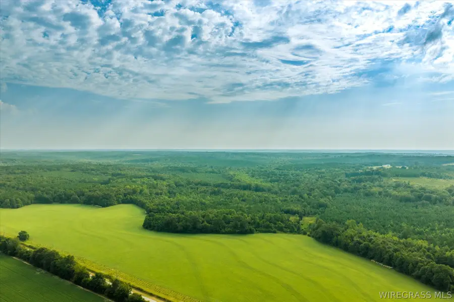 0 Highway 105, Skipperville, AL 36374 - #2