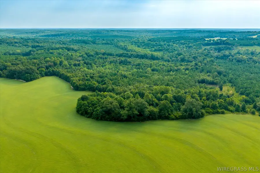 0 Highway 105, Skipperville, AL 36374 - #3