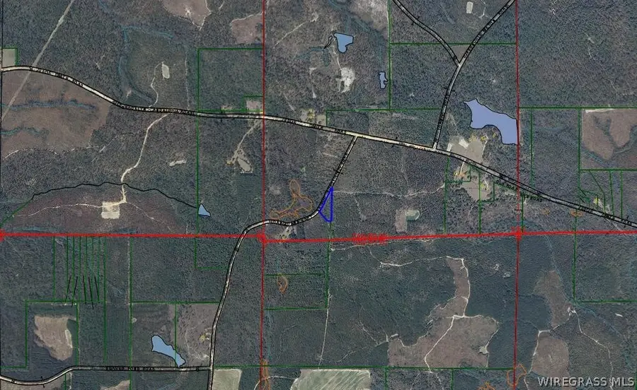 TBD Linzy Road, Andalusia, AL 36421 - #2