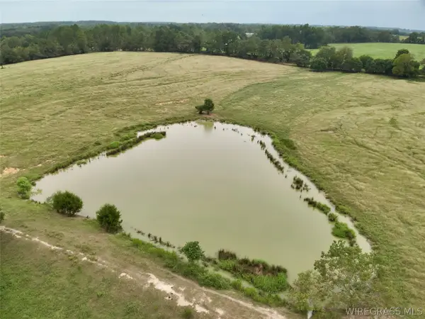 9 Acres County Road 670, Samson, AL 36477