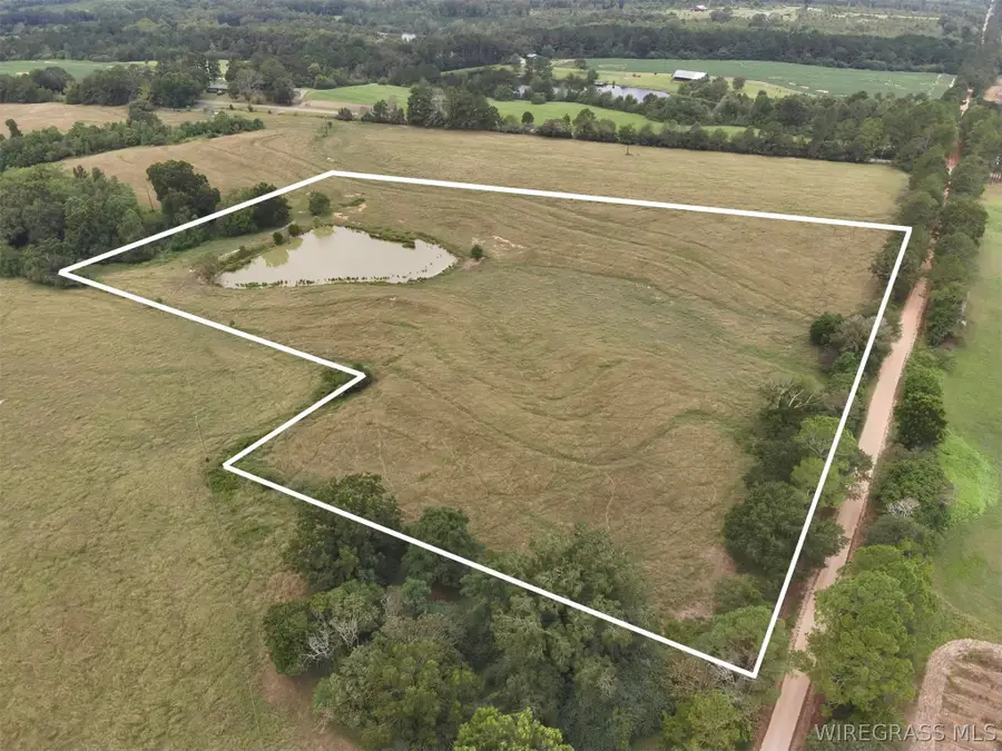 9 Acres County Road 670, Samson, AL 36477 - #2