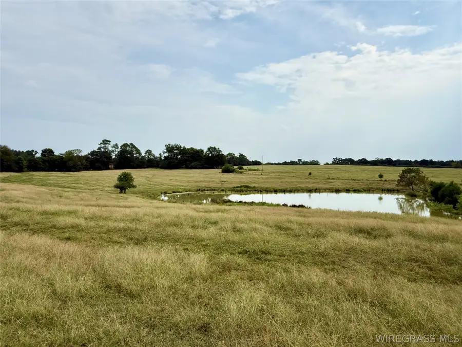 9 Acres County Road 670, Samson, AL 36477 - #3