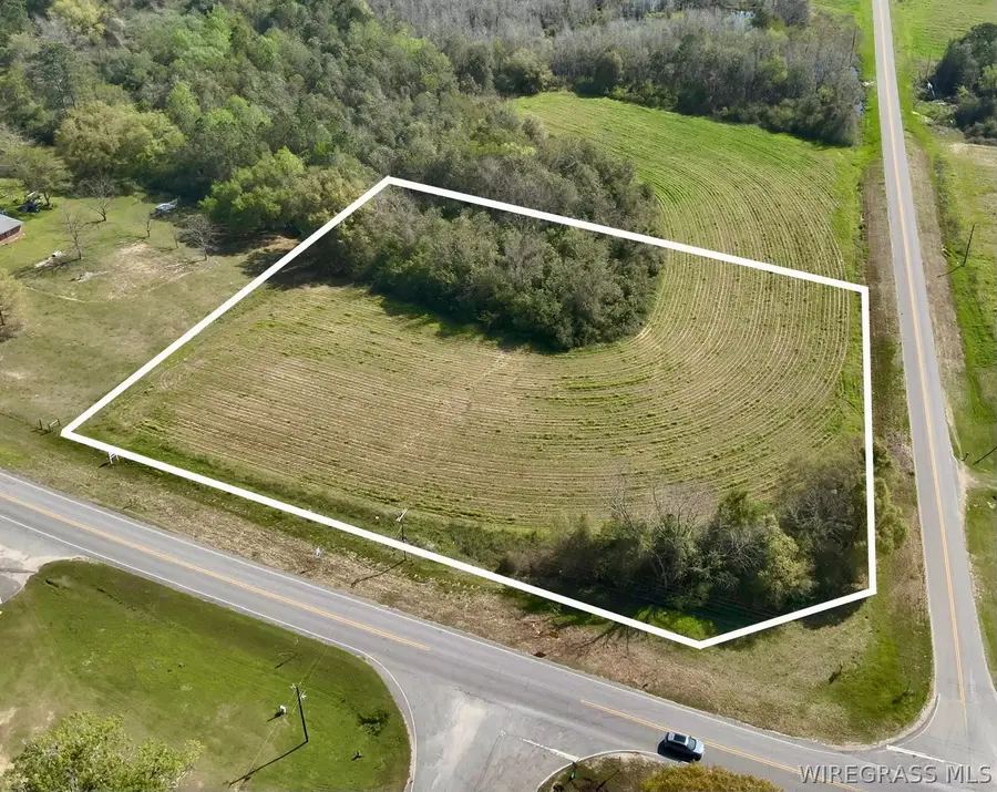 3 Acres Red Oak Road, Florala, AL 36442 - #3