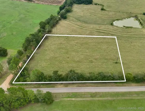 3.4 Acres County Road 661, Samson, AL 36477