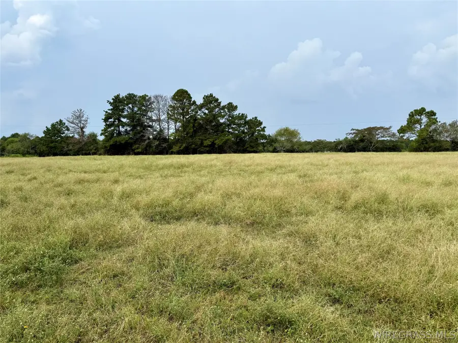 3.4 Acres County Road 661, Samson, AL 36477 - #2