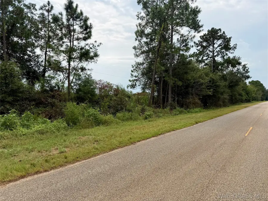 3.4 Acres County Road 661, Samson, AL 36477 - #3