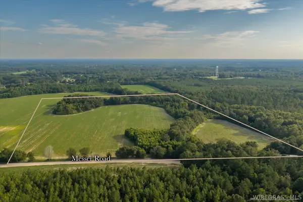 0 Messer Road, Cottonwood, AL 36301