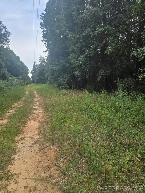 0 Reynolds Street, Enterprise, AL 36330