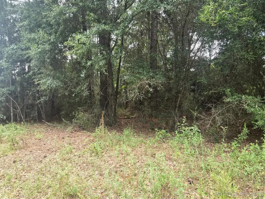 0 Reynolds Street, Enterprise, AL 36330 - #2