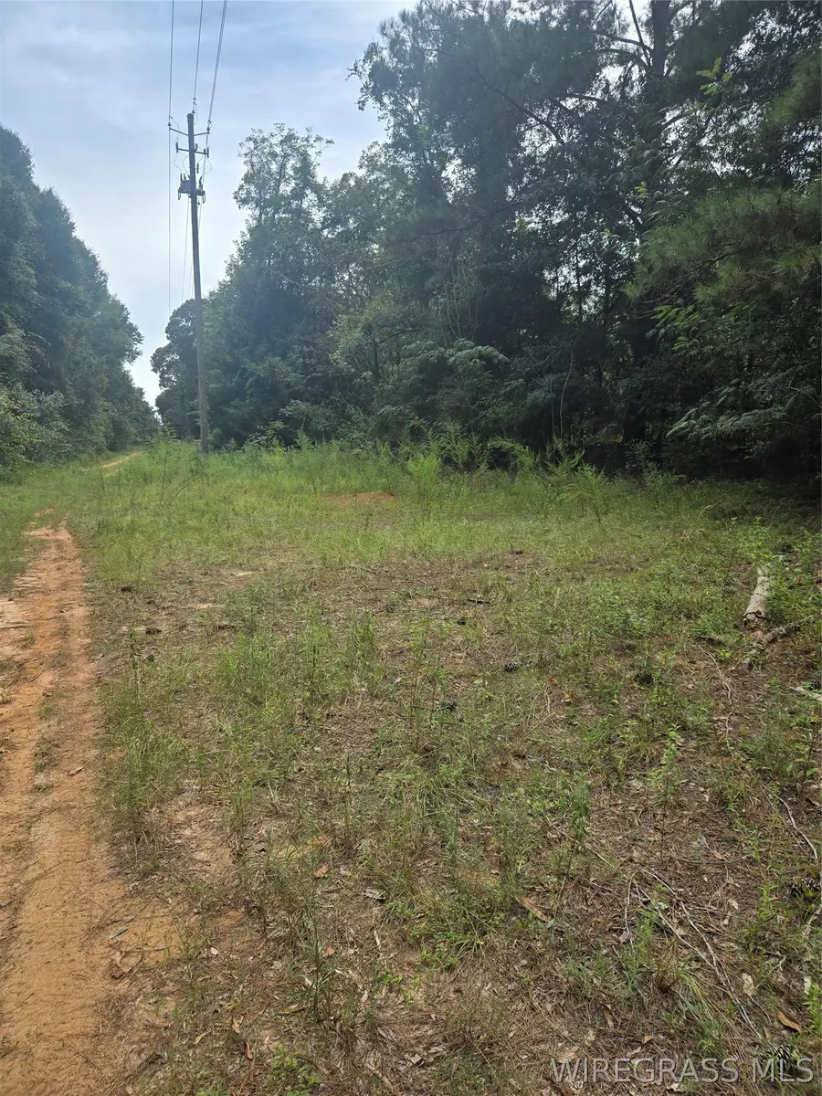 0 Reynolds Street, Enterprise, AL 36330 - #3