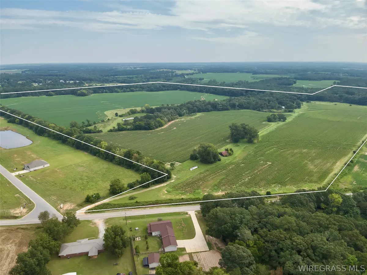 282 Acres County Road 22, Headland, AL 36345 - #1