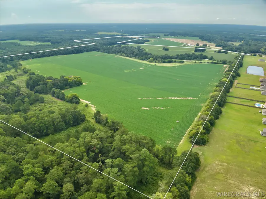 282 Acres County Road 22, Headland, AL 36345 - #2