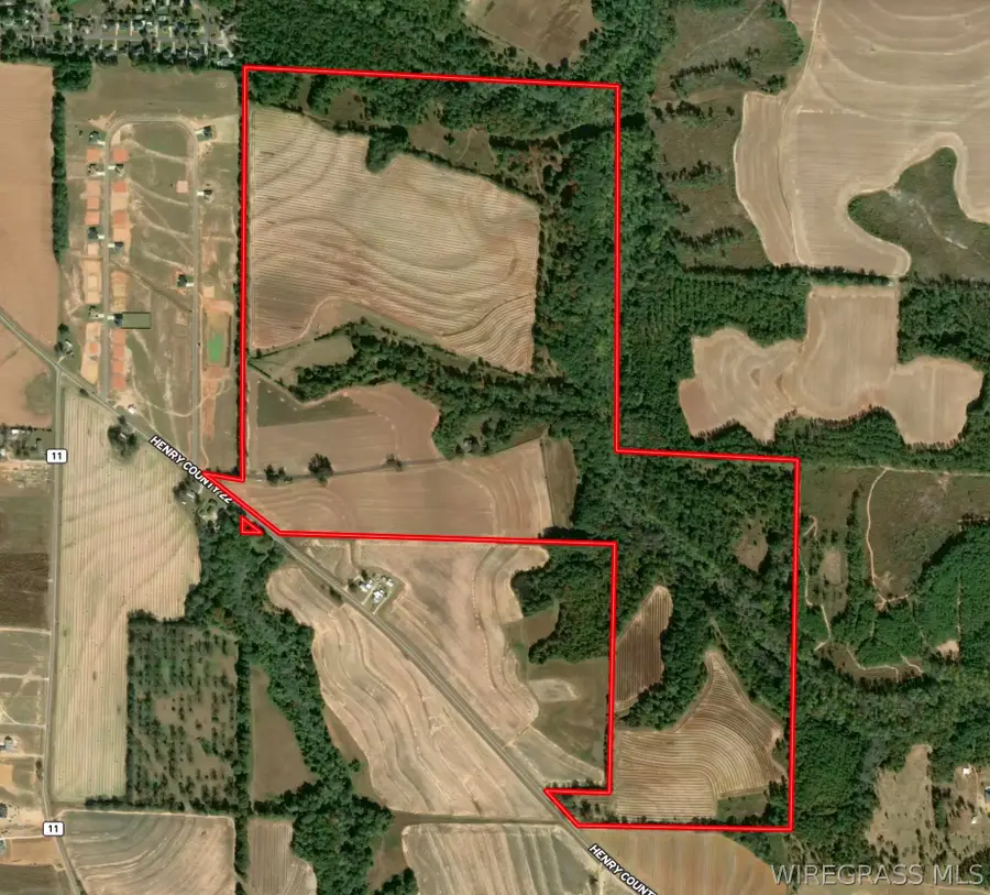 282 Acres County Road 22, Headland, AL 36345 - #3