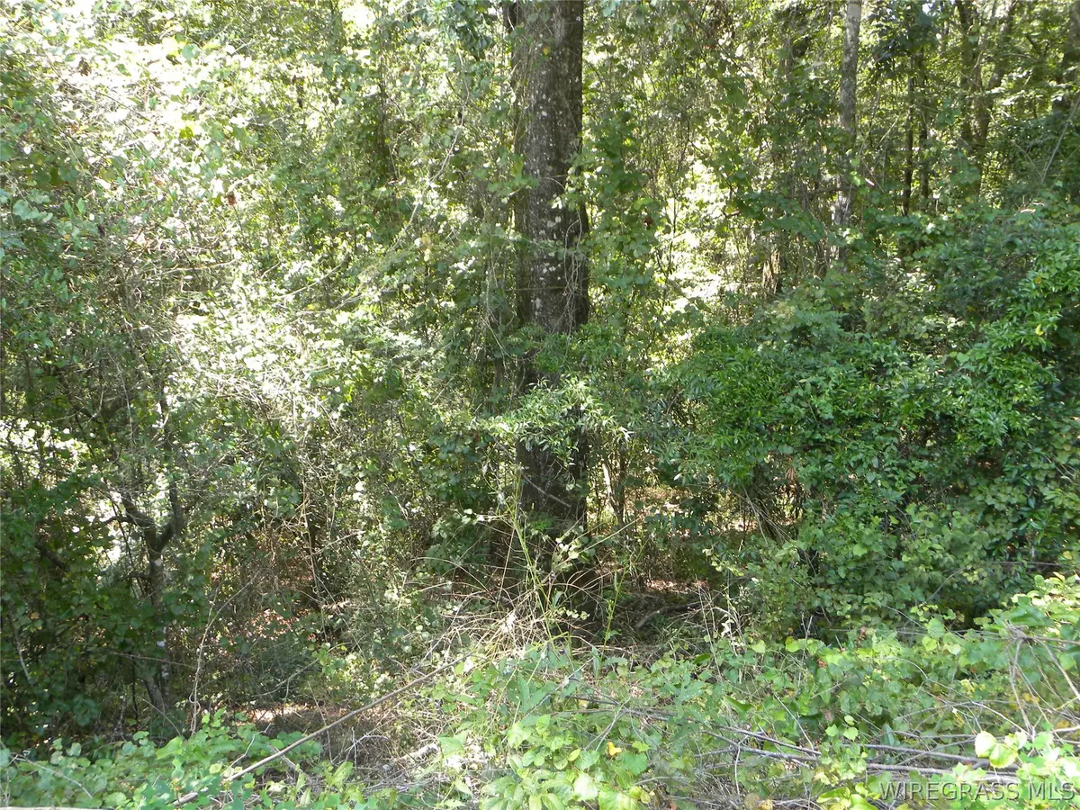 0 Frank Marshall Road, Ozark, AL 36360 - #1