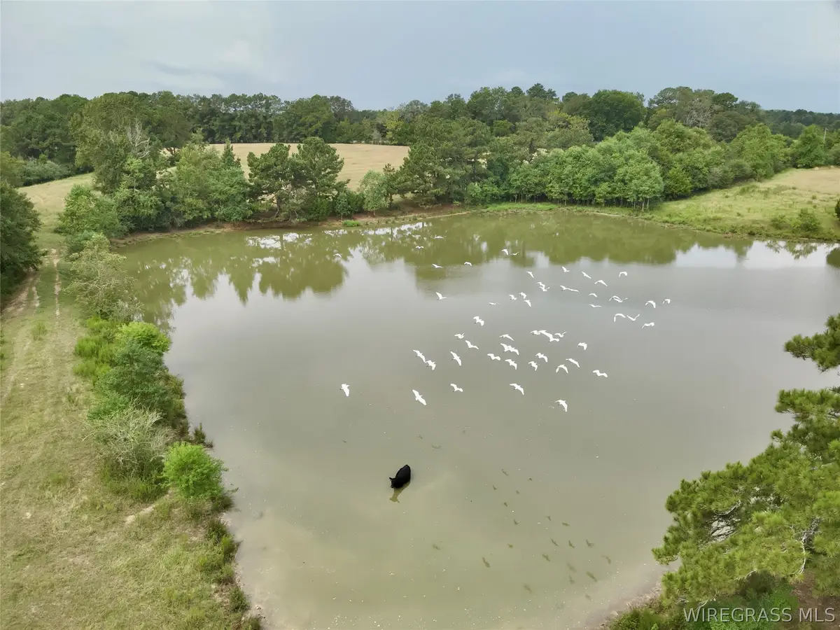 22 Acres County Road 661, Samson, AL 36477 - #1