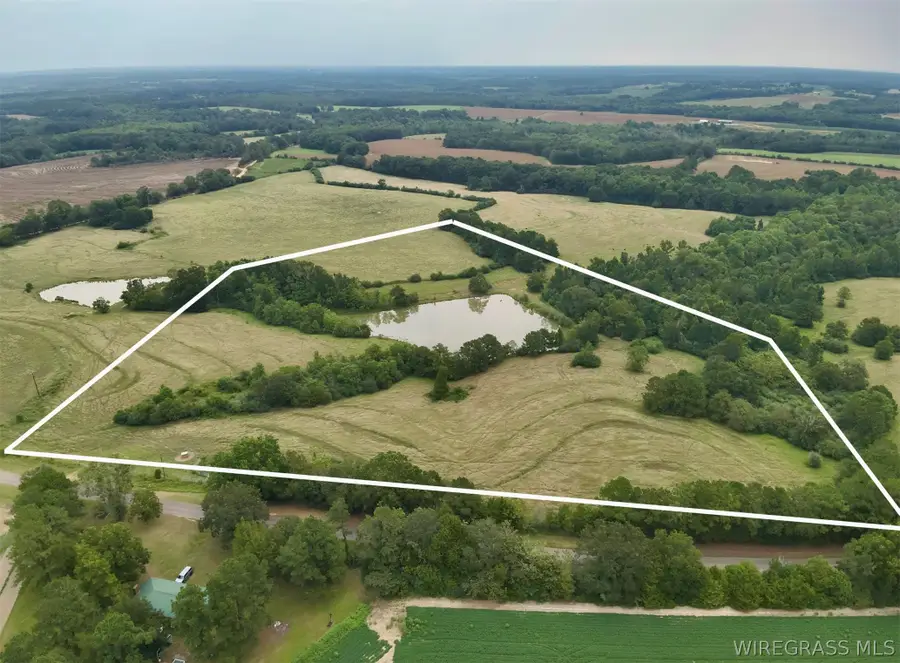 22 Acres County Road 661, Samson, AL 36477 - #2