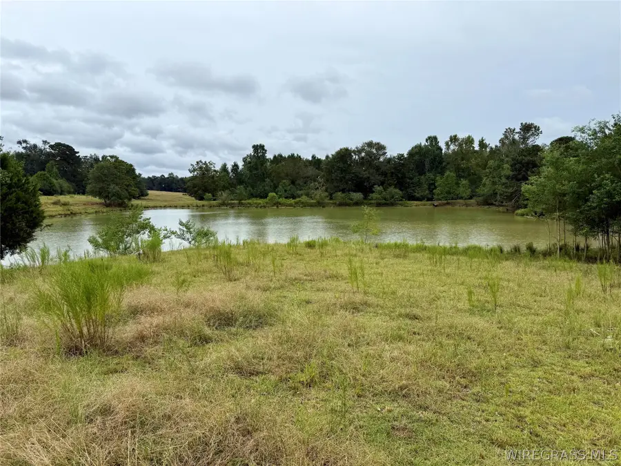 22 Acres County Road 661, Samson, AL 36477 - #3