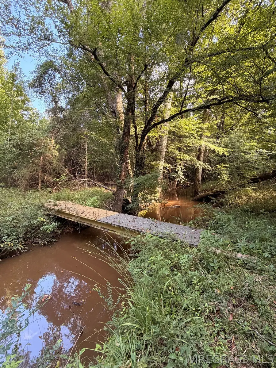 3563 Old Meriwether Trail, Lapine, AL 36046 - #2