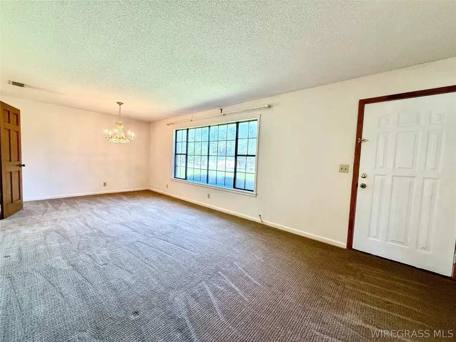 613 W Spring Avenue, Geneva, AL 36340 - #3
