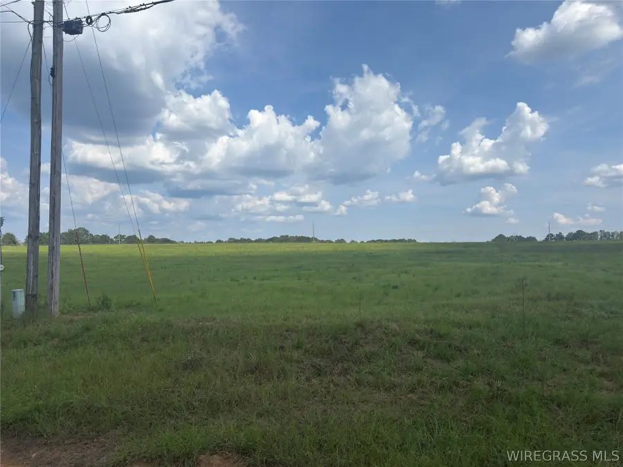 0 County Road 533, Enterprise, AL 36330 - #2