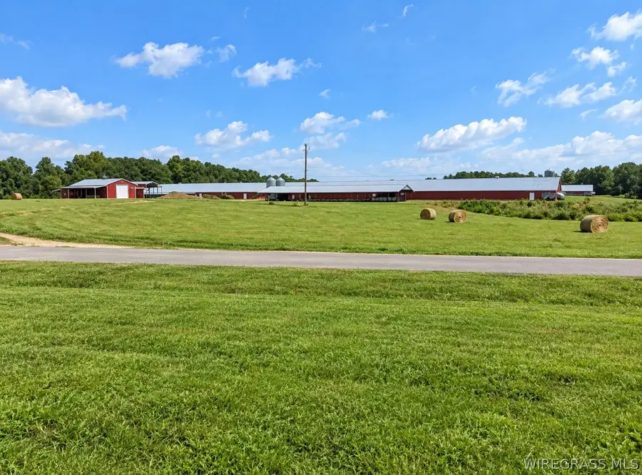 1032 County Road 107, Brundidge, AL 36010 - #3