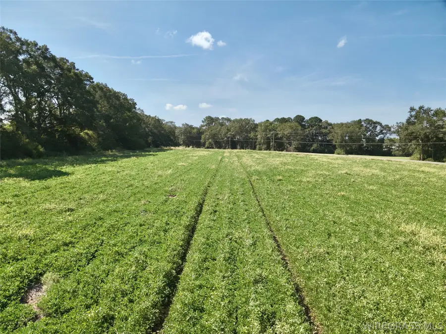5.36 Acres Highway 167, Enterprise, AL 36330 - #3