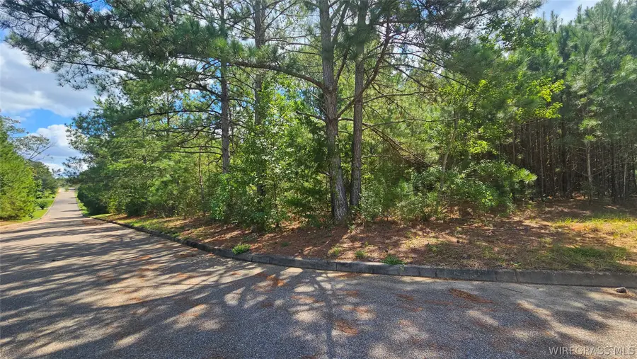 Lot 9 Plantation Way, Ozark, AL 36360 - #2