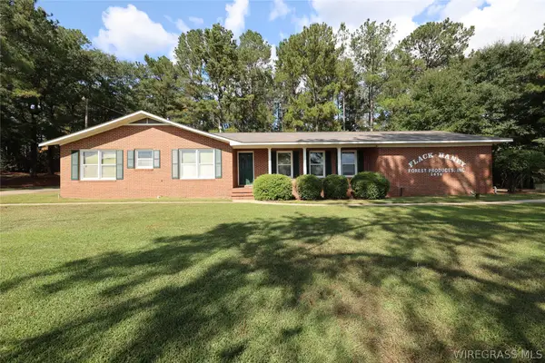 2656 Hickman Avenue, Elba, AL 36323