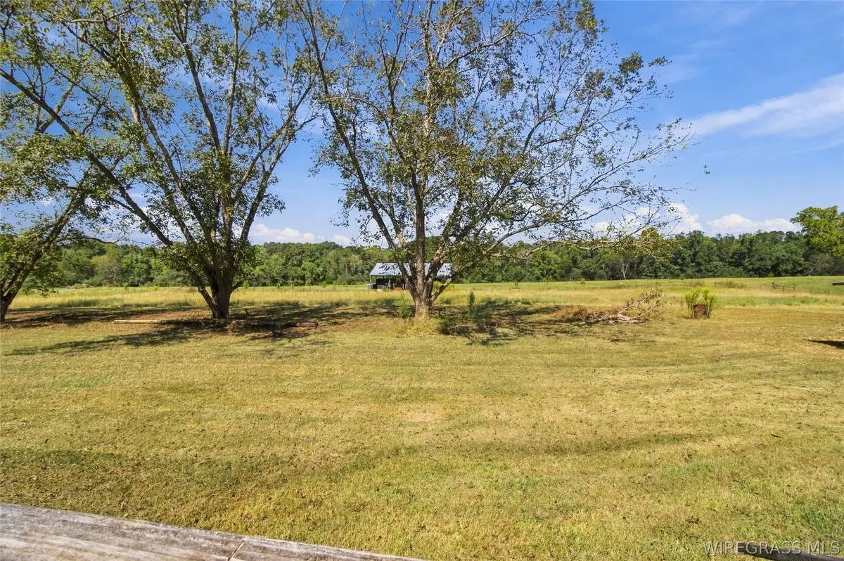 5433 County Road 474, Kinston, AL 36453 - #1
