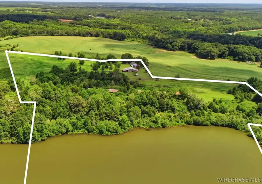 693 Lake Road, Chancellor, AL 36316 - #2