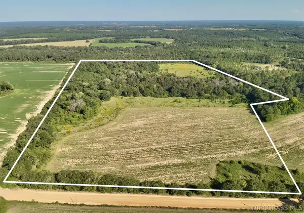 60.72 Acres Dillard Road, , AL 36370