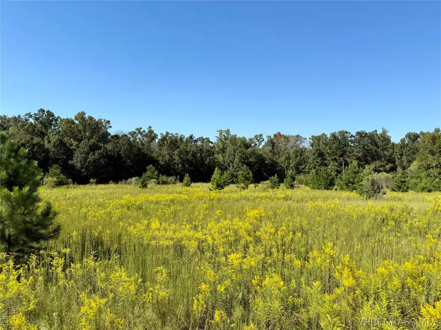 60.72 Acres Dillard Road, Pansey, AL 36370 - #2