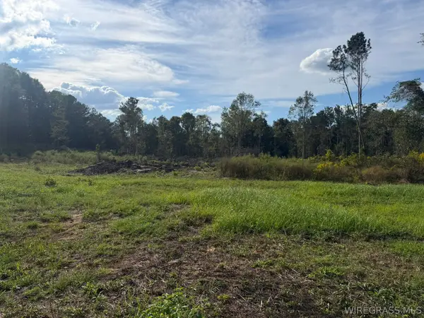 0 County Road 4425, Brundidge, AL 36010