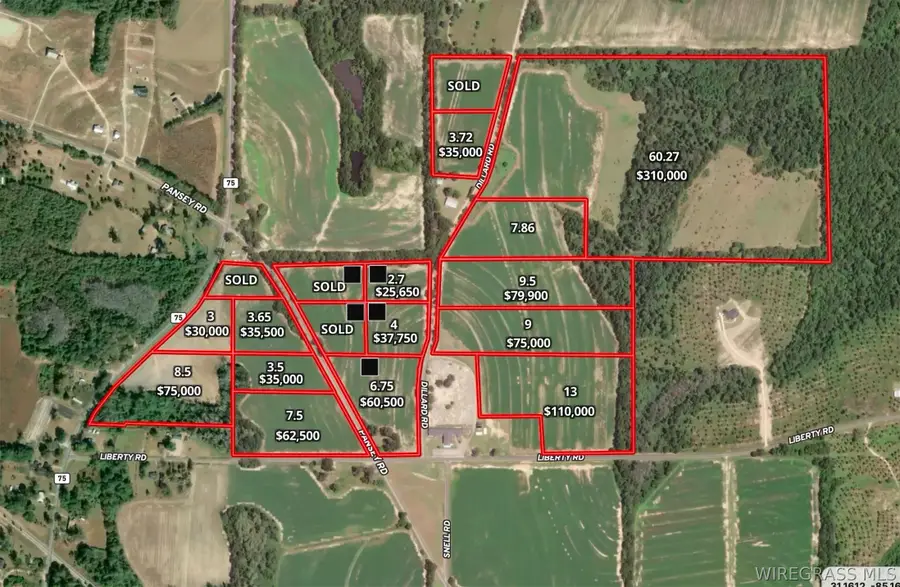 3.72 Acres Dillard Road, Pansey, AL 36370 - #3
