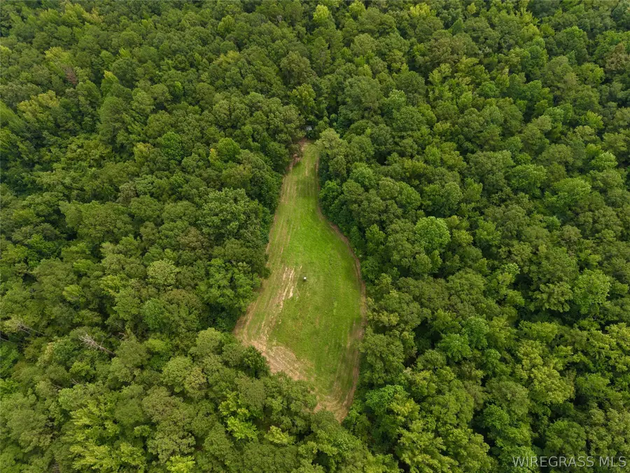 2055 Peachburg Road, Union Springs, AL 36089 - #3