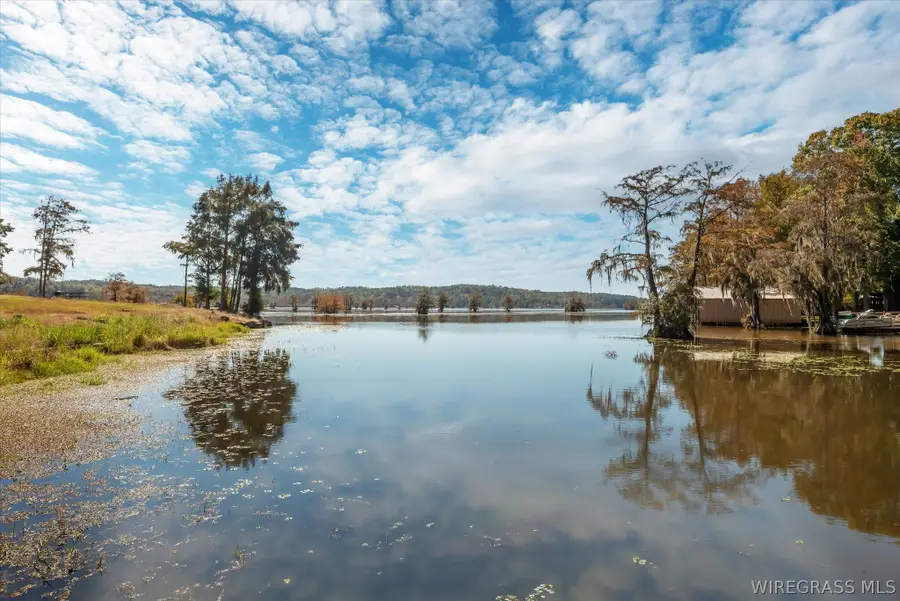 32523 Wagon Wheel Road, Dozier, AL 36028 - #3