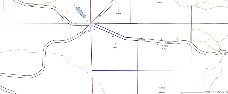 TBD Maggie Road, Opp, AL 36467 - #2