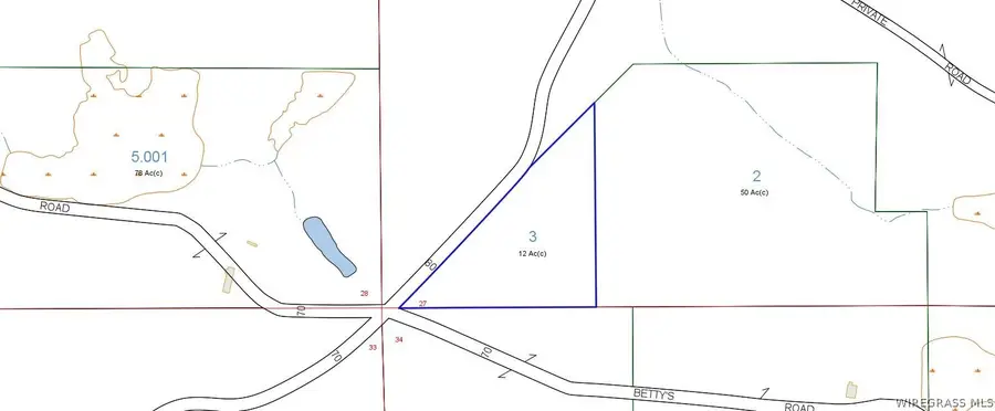 TBD Maggie Road, Opp, AL 36467 - #3