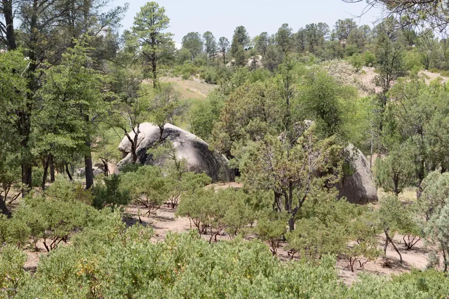 910 S Monument Valley Drive #149, Payson, AZ 85541 - Image #3