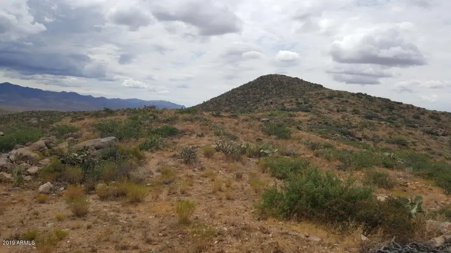 0 Bull Whip Road #65, Congress, AZ 85332 - Image #2